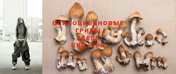 эйфоретик Кукмор