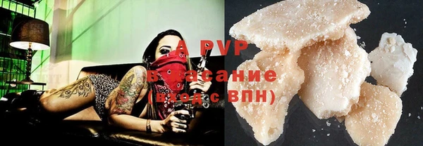 эйфоретик Кукмор