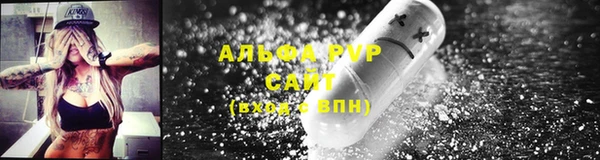эйфоретик Кукмор