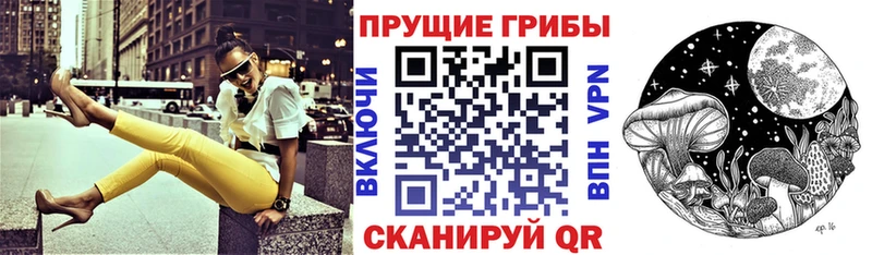 Галлюциногенные грибы Psilocybine cubensis где купить наркоту МЕГА рабочий сайт Новозыбков