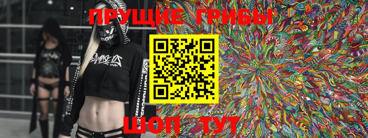 Галлюциногенные грибы Psilocybe  Вход с VPN  Псилоцибиновые грибы GOLDEN TEACHER  Новозыбков 