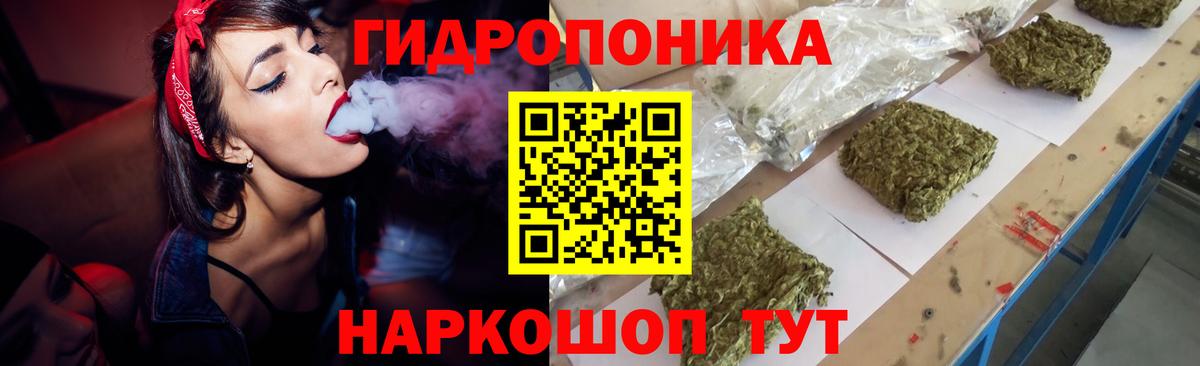 Шишки марихуана семена  Вход с VPN  МАРИХУАНА гибрид  Новозыбков 